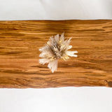 No.1673 屋久杉/一枚板座卓