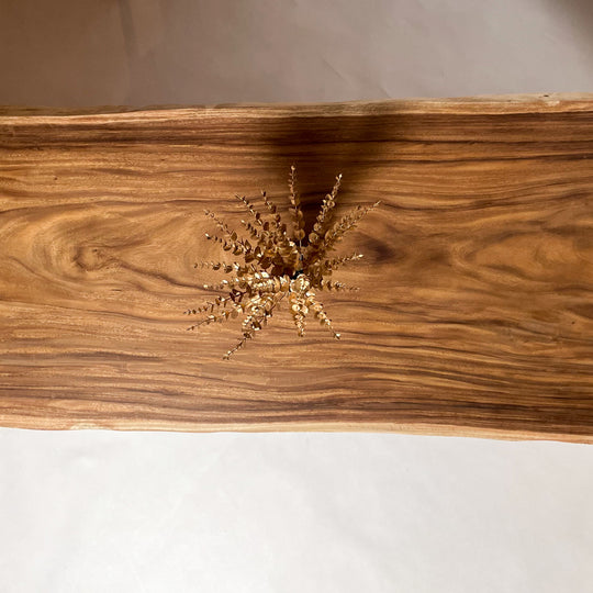 No.1844 モンキーポッド/一枚板座卓