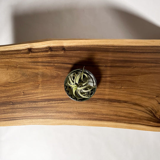 No.1871 モンキーポッド/一枚板リビングテーブル