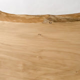 No.1601 銀杏(いちょう)/一枚板デスク