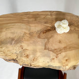 No.1265 栃(とち)/一枚板デスク