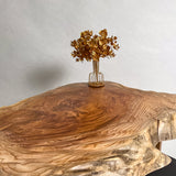 No.2064 欅(けやき)/一枚板デスク