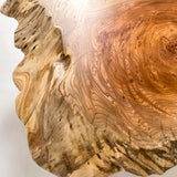 No.2064 欅(けやき)/一枚板デスク