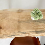 No.1166 栃(とち)/一枚板デスク