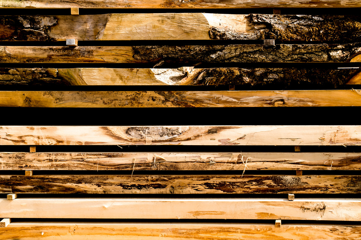 乾燥基準を完全解説