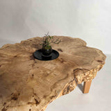 No.2333　ポプラ/一枚板ローテーブル