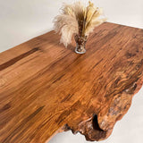 No.2426　屋久杉（やくすぎ）/一枚板座卓