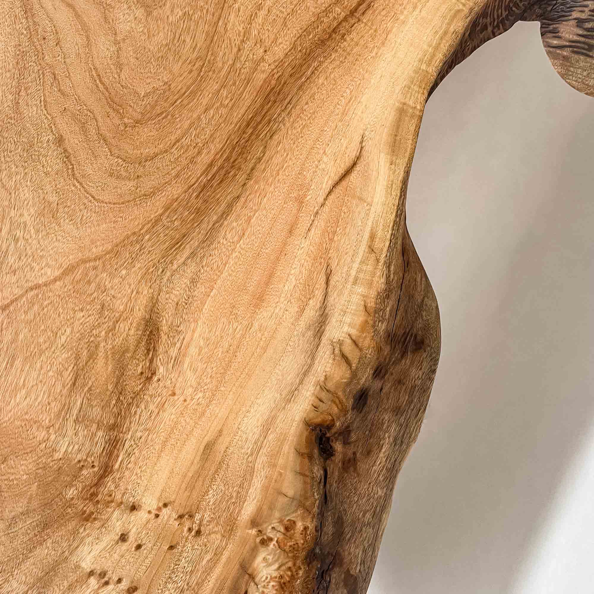 No.2330　楠（くす）/一枚板ダイニングテーブル