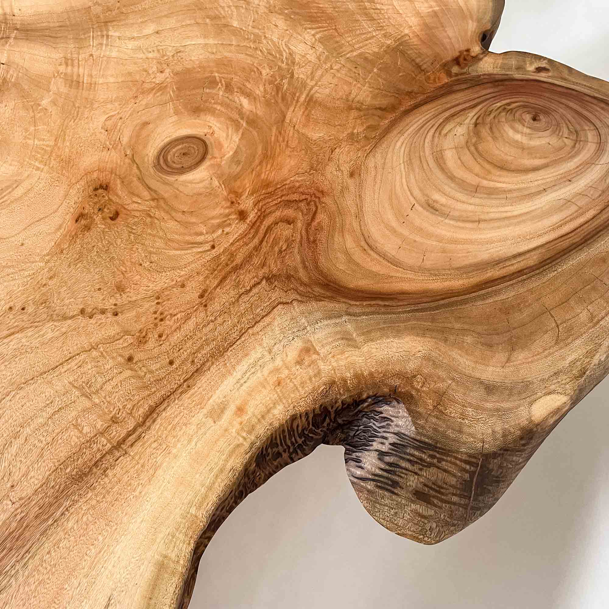 No.2330　楠（くす）/一枚板リビングテーブル