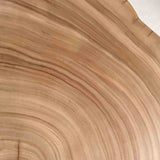 No.1894　楠（くす）/一枚板ダイニングテーブル