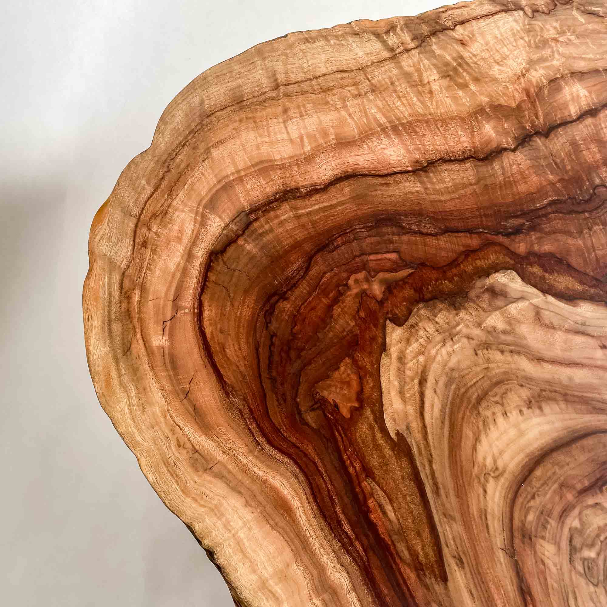 No.2458　楠（くす）/一枚板センターテーブル