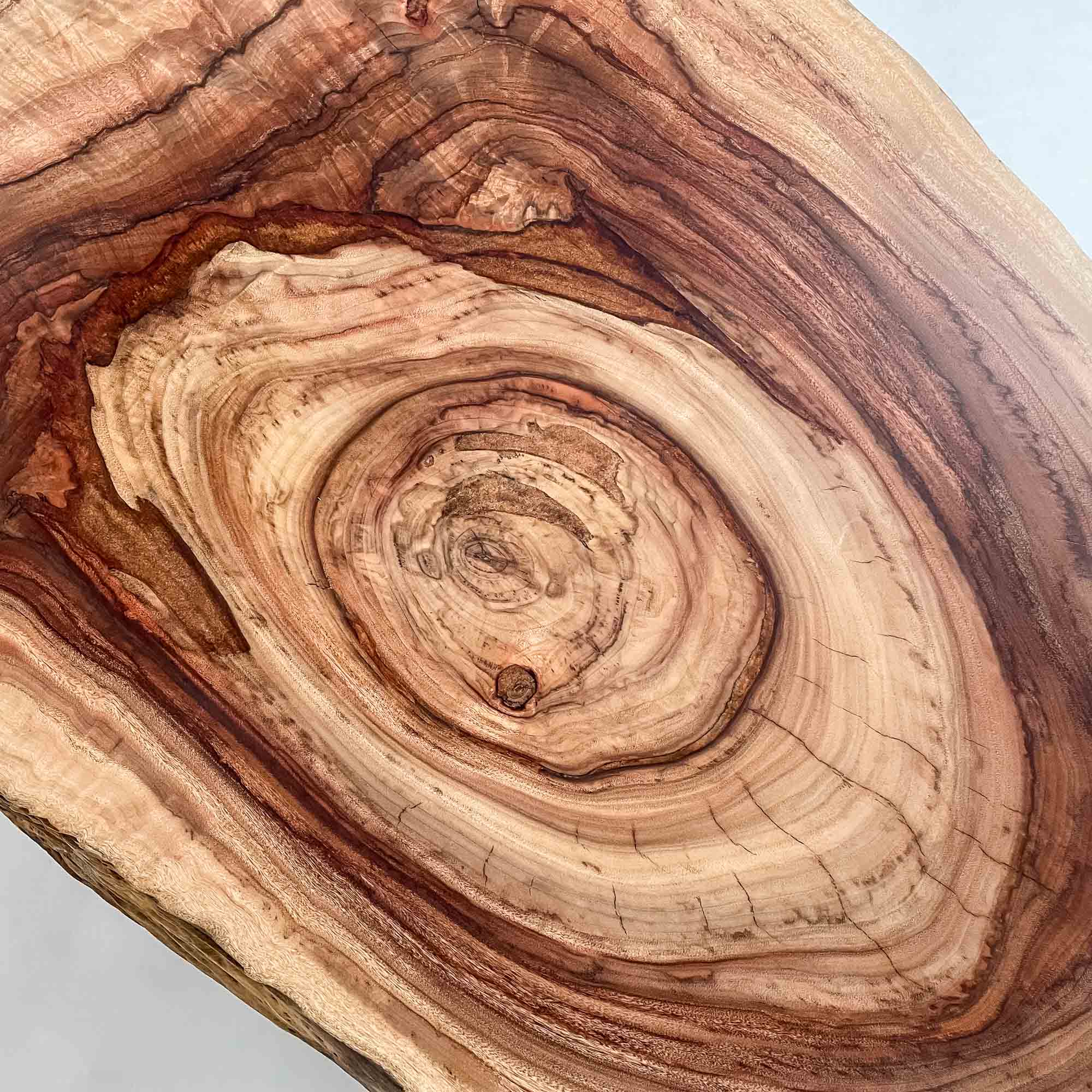 No.2458　楠（くす）/一枚板センターテーブル