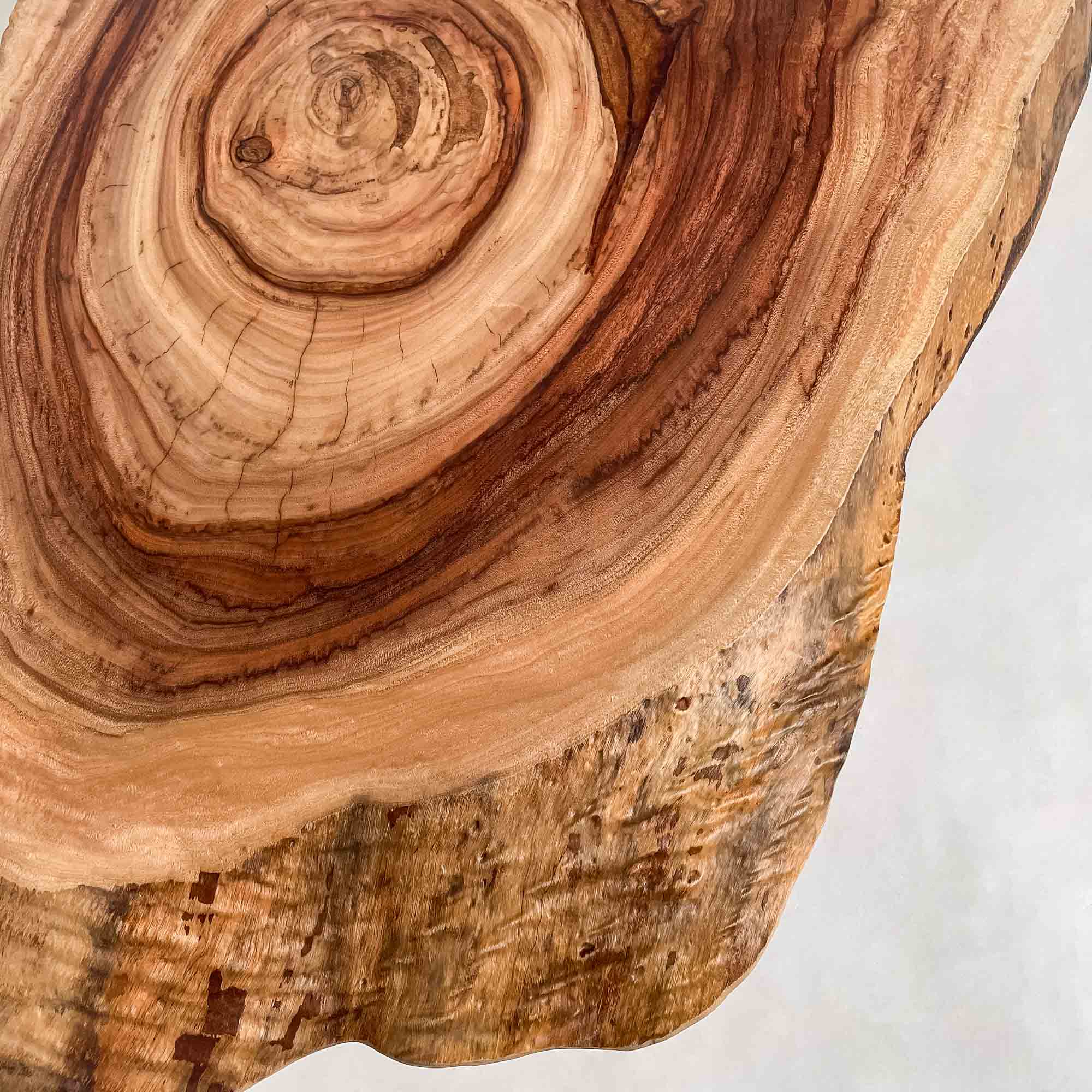 No.2458　楠（くす）/一枚板センターテーブル