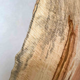 No.1809　栃（とち）/一枚板リビングテーブル