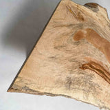 No.1809　栃（とち）/一枚板ダイニングテーブル