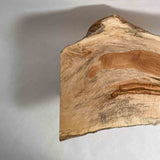 No.1809　栃（とち）/一枚板リビングテーブル