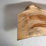 No.1809　栃（とち）/一枚板ダイニングテーブル