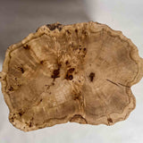 No.2333　ポプラ/一枚板ローテーブル