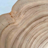 No.1894　楠（くす）/一枚板ダイニングテーブル