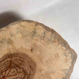 No.2391　栃（とち）/一枚板デスク