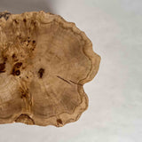 No.2333　ポプラ/一枚板ローテーブル