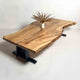 No.2591　楠（くす）/一枚板座卓