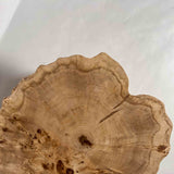 No.2333　ポプラ/一枚板デスク