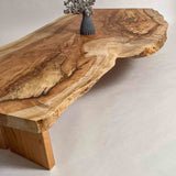 No.2171　栃（とち）/一枚板座卓