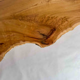 No.2351　欅（けやき）/一枚板カウンター