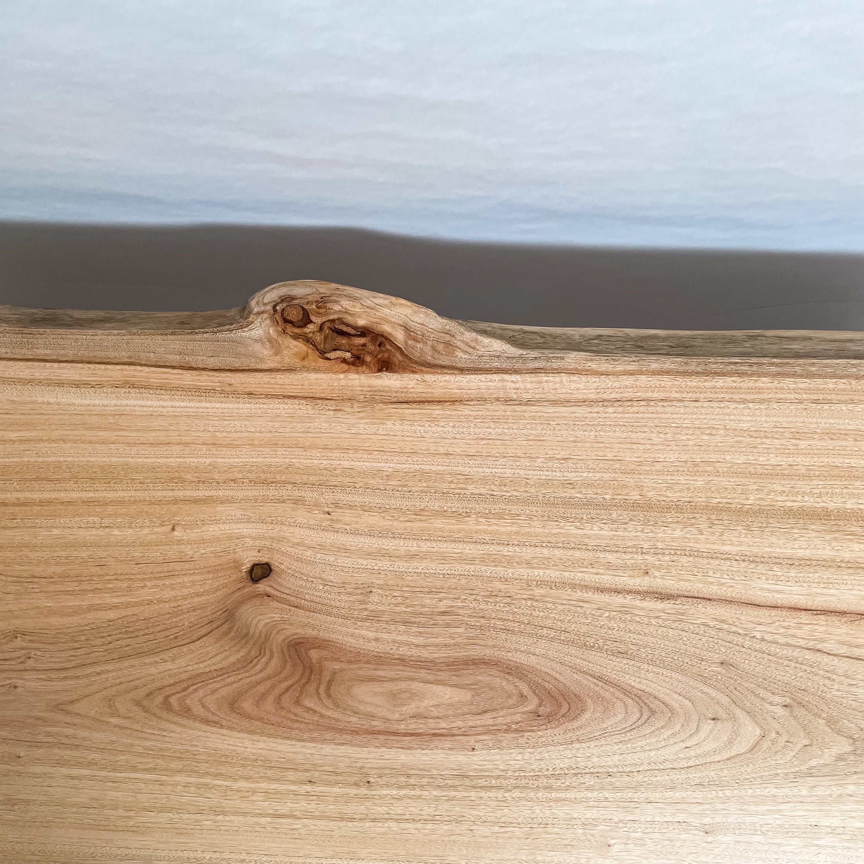 No.2093　楠（くす）/一枚板座卓