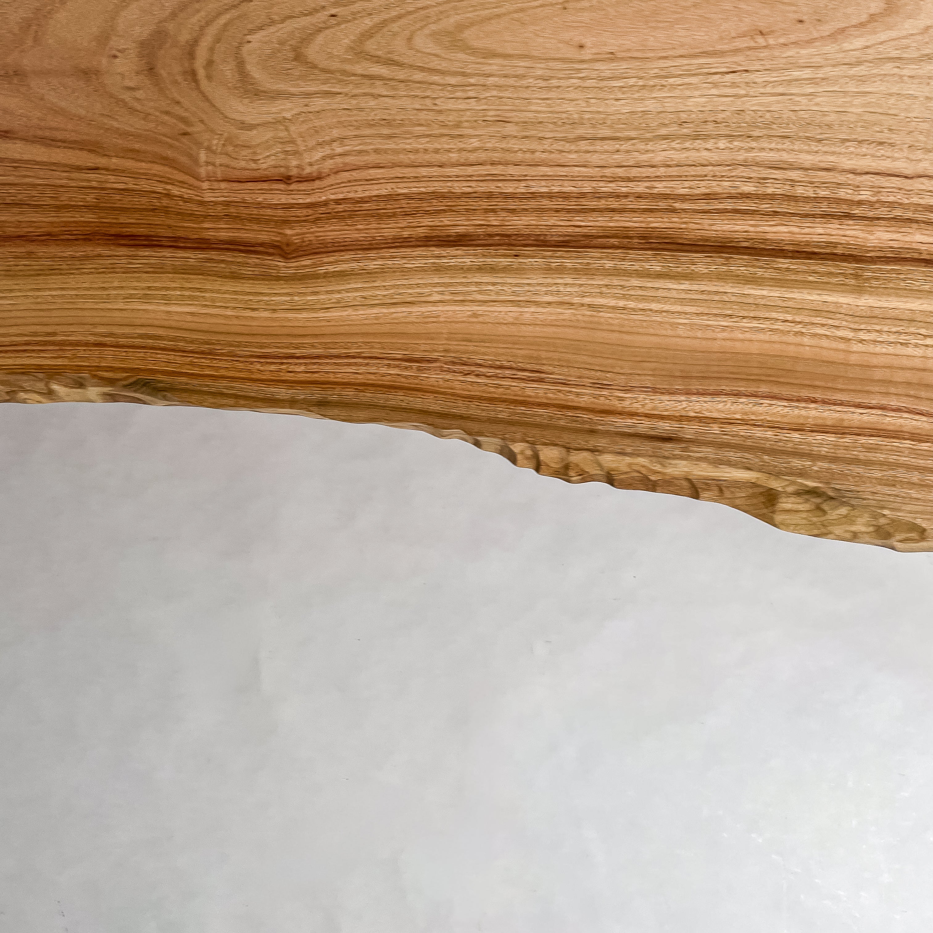 No.2109　楠（くす）/一枚板座卓