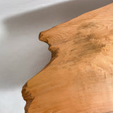 No.2113　屋久杉（やくすぎ）/一枚板座卓