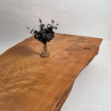 No.2113　屋久杉（やくすぎ）/一枚板座卓