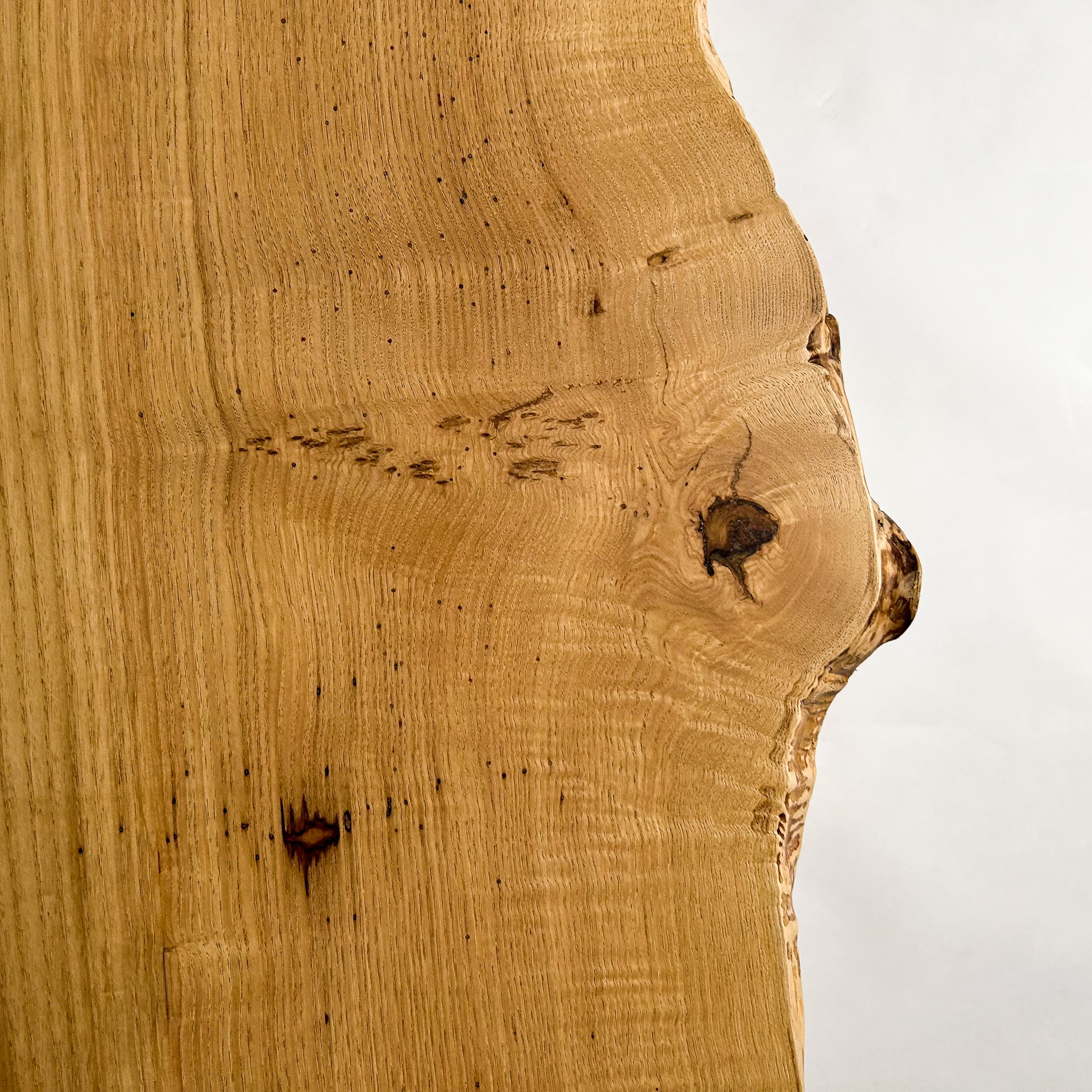 No.1668　栗（くり）/一枚板カウンター