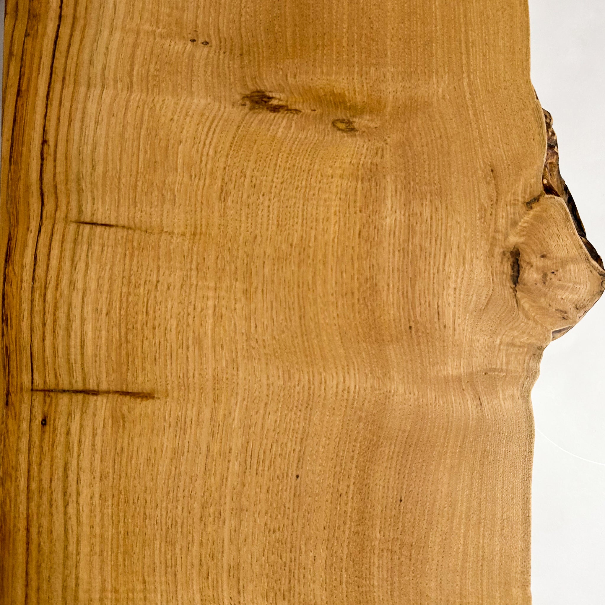 No.1668　栗（くり）/一枚板カウンター