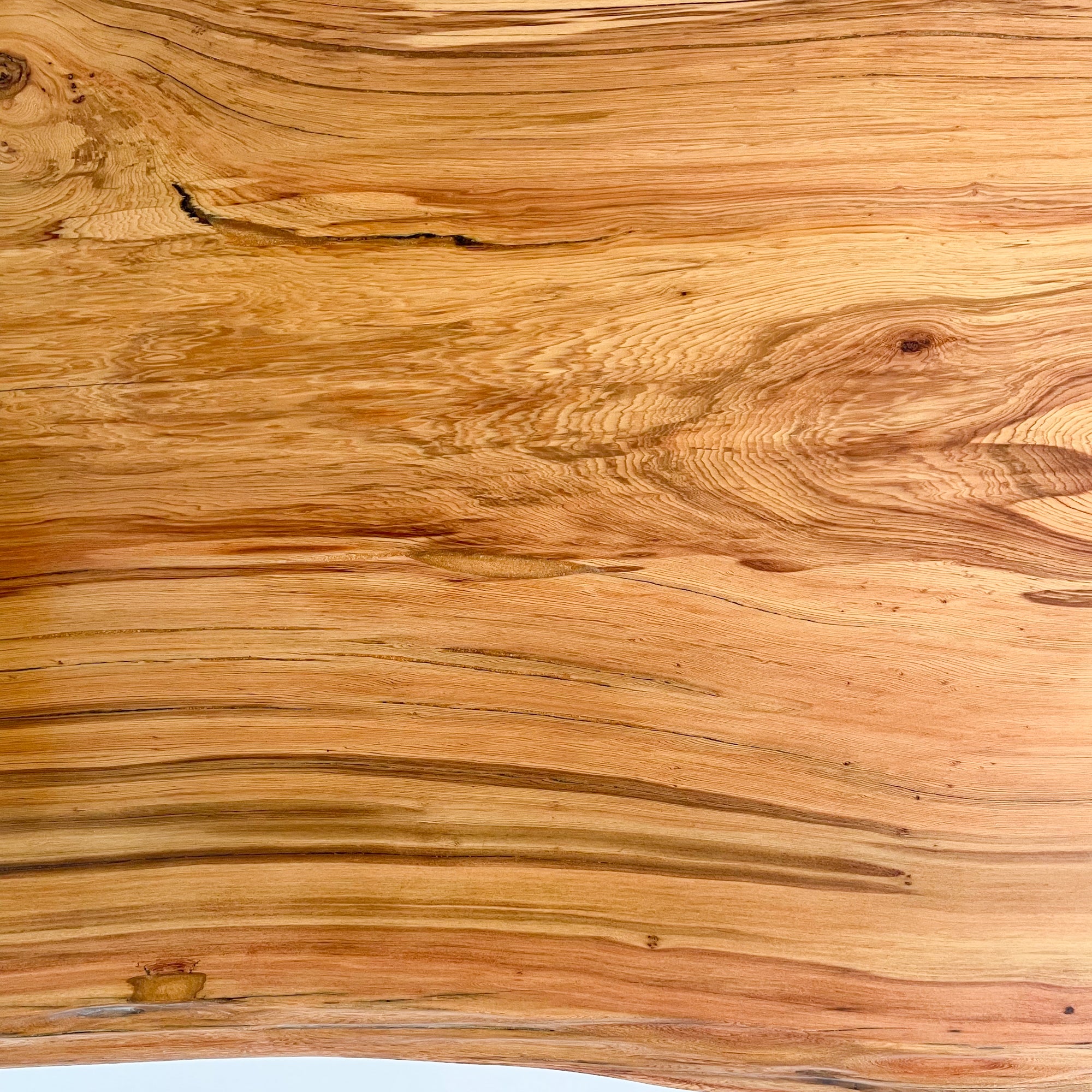 KIDOMEIMOKU 屋久杉一枚板ダイニングテーブル｜200cm(6人掛け