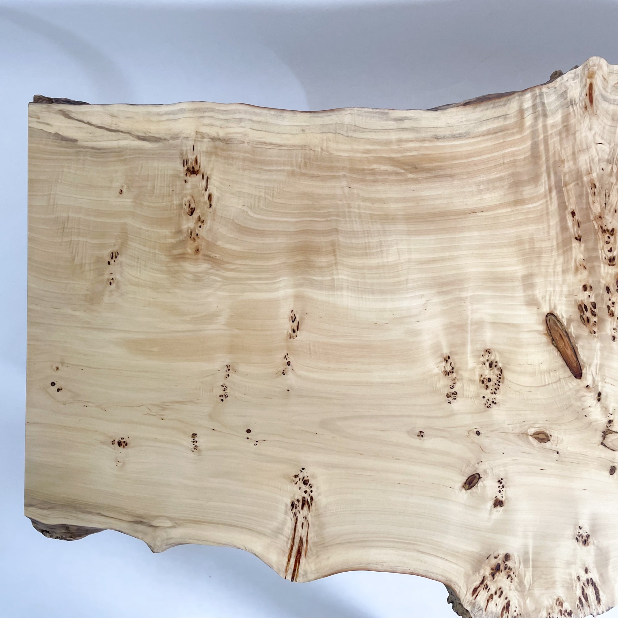 一枚板テーブル　無垢材　ポプラ ポプラ 無垢一枚板テーブル(1点モノ) アイアン脚付 | 岐阜県瑞穂