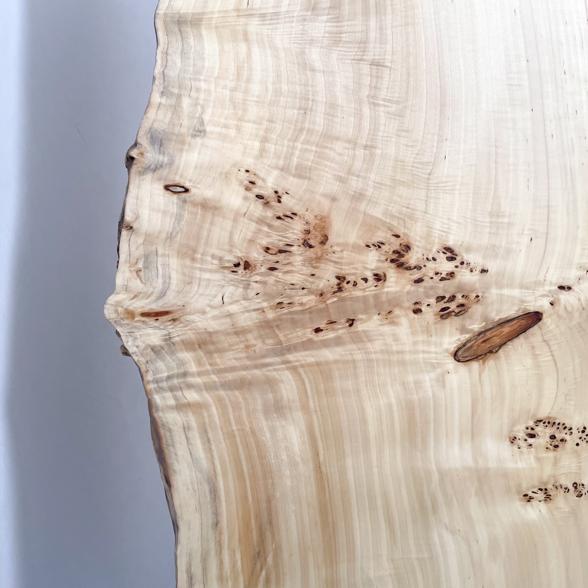 KIDOMEIMOKU ポプラ一枚板リビングテーブル｜180cm(6人掛け) – KIDO