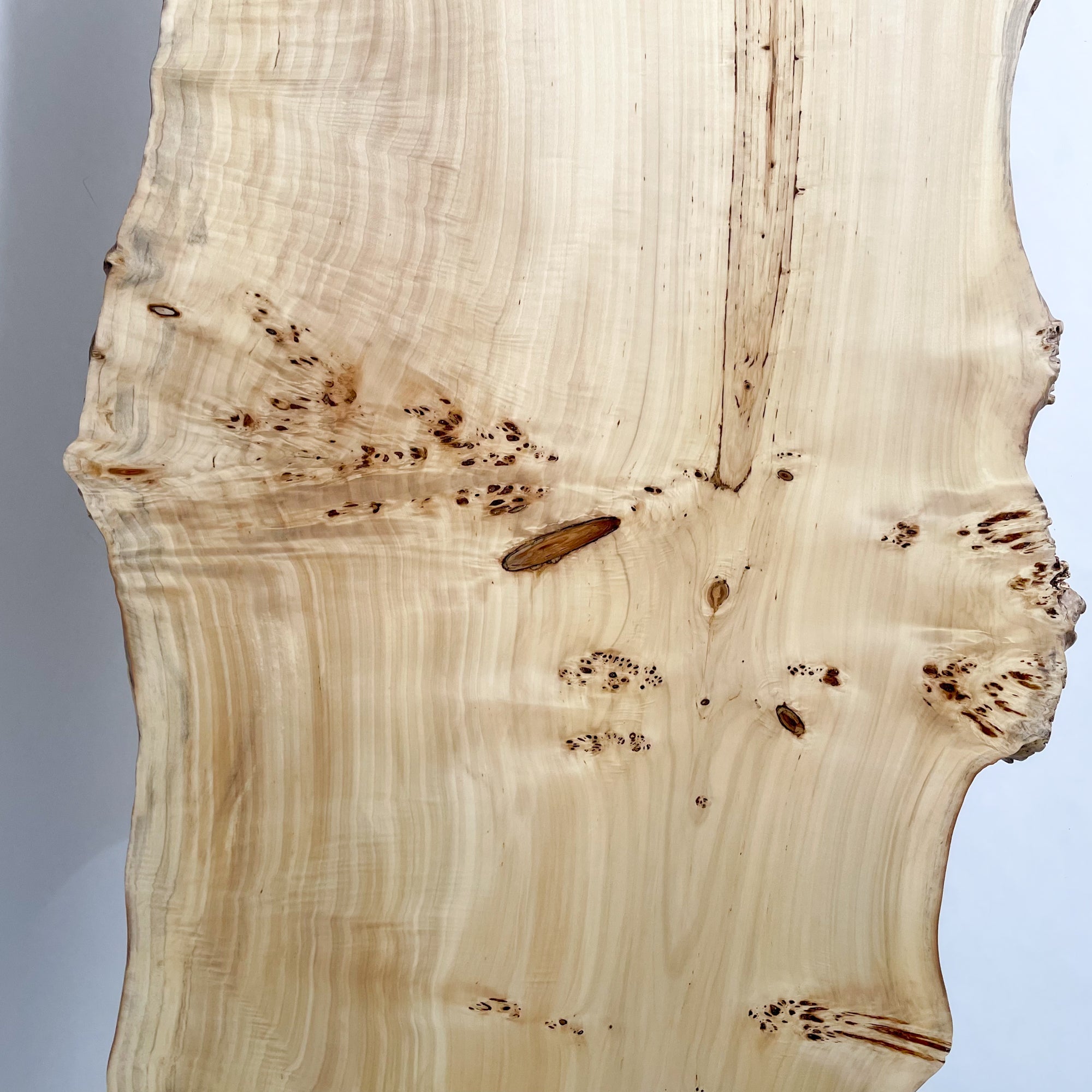 ＃1523■　ポプラ　テーブル　ローテーブル　ダイニング　座卓　一枚板　天板 楽天市場】一枚板 テーブル ローテーブル ダイニングテーブル