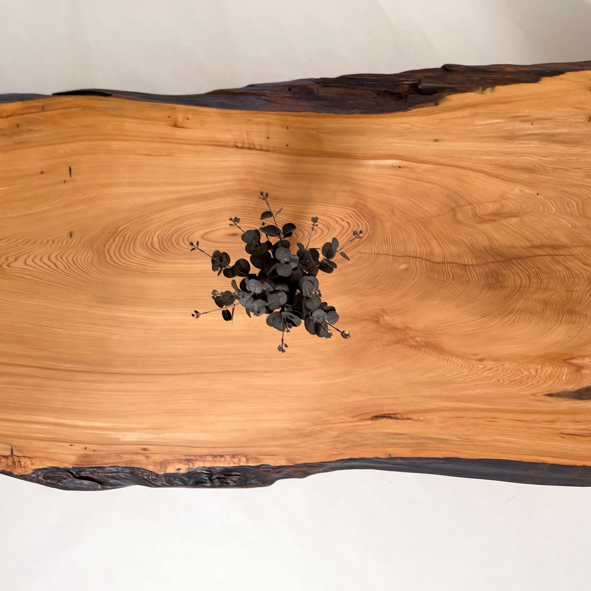 KIDO MEIMOKU 屋久杉一枚板リビングテーブル｜190cm(6人掛け) – 【公式