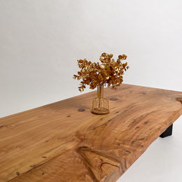 No.1749　屋久杉/一枚板リビングテーブル