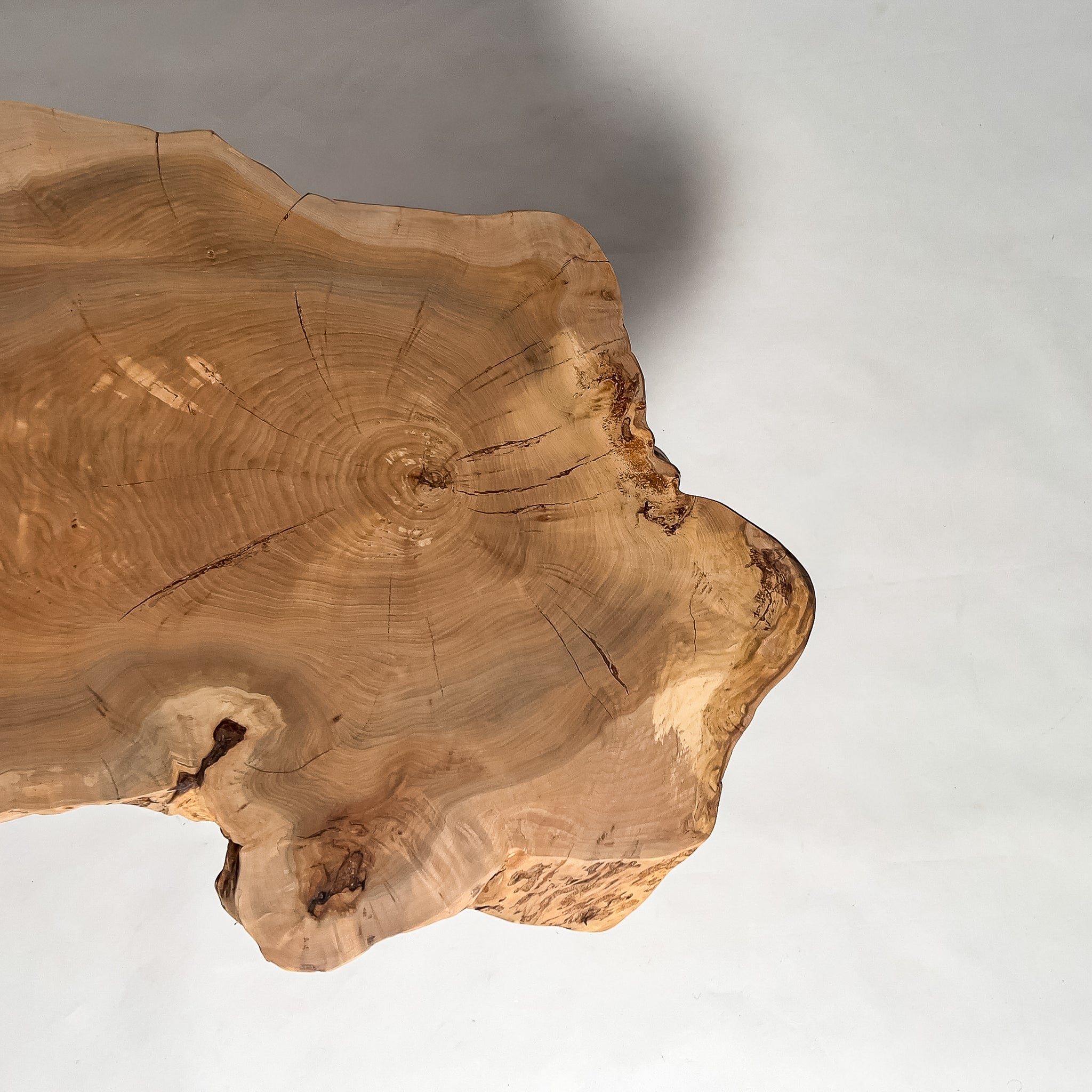 No.2023　楡（にれ）/一枚板デスク