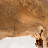 No.2023　楡（にれ）/一枚板センターテーブル