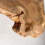 No.2023　楡（にれ）/一枚板センターテーブル