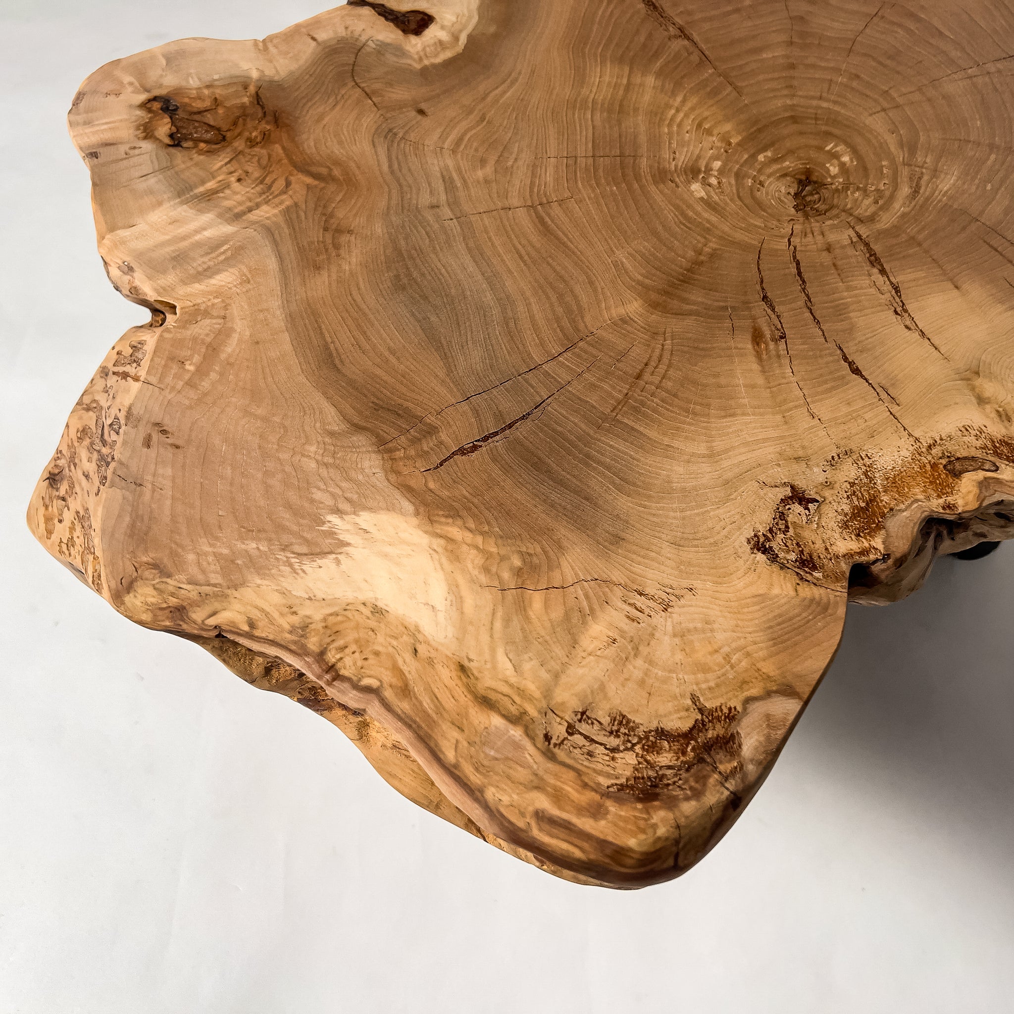 No.2023　楡（にれ）/一枚板デスク