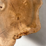 No.2023　楡（にれ）/一枚板センターテーブル