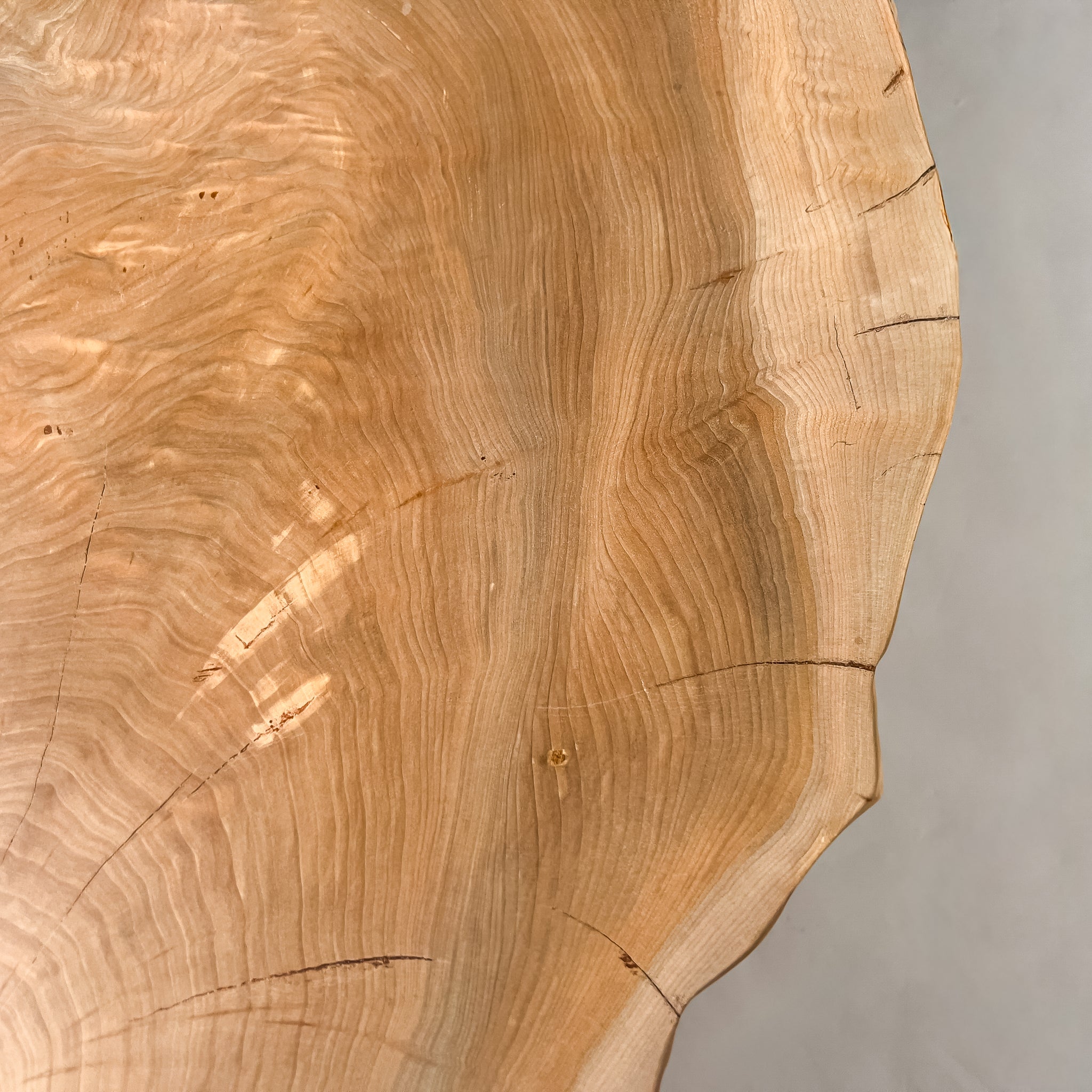 No.2023　楡（にれ）/一枚板デスク