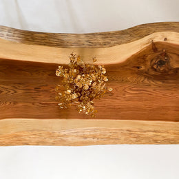 No.1911　吉野杉/一枚板リビングテーブル