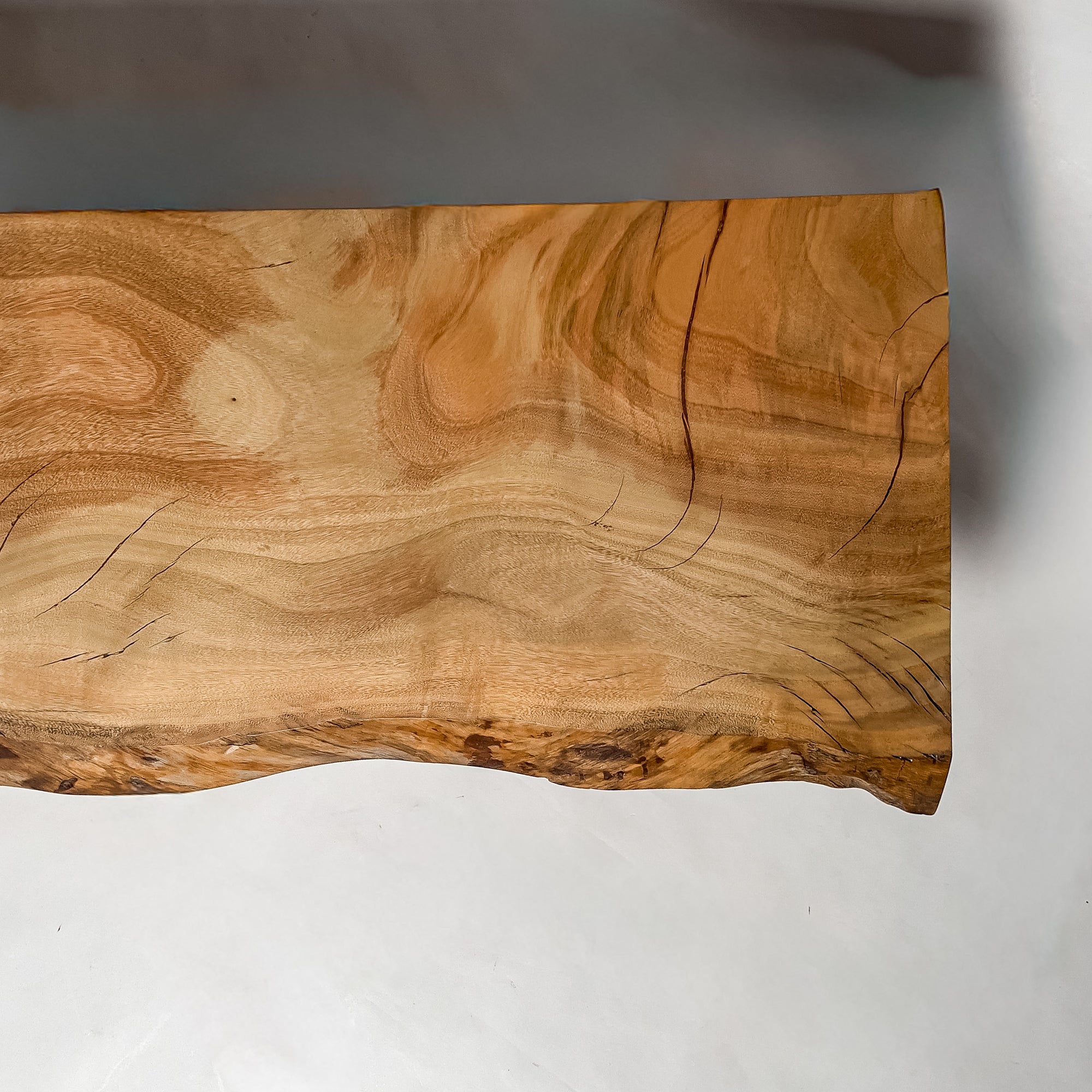 No.2082　楠（くす）/一枚板カウンター