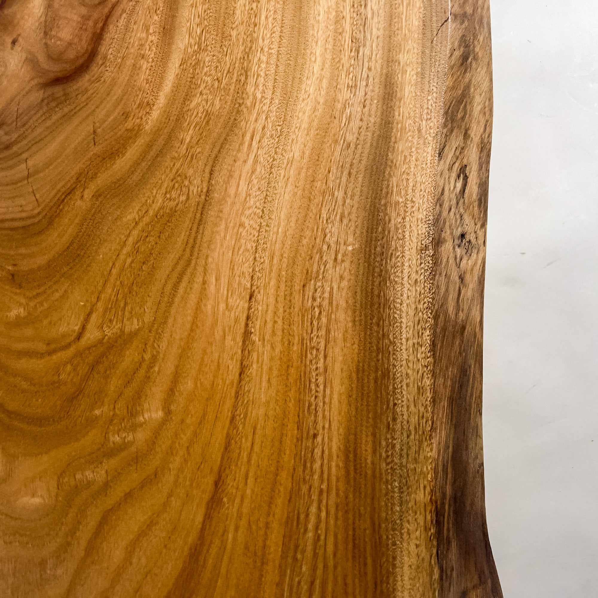 No.2073　楠（くす）/一枚板カウンター